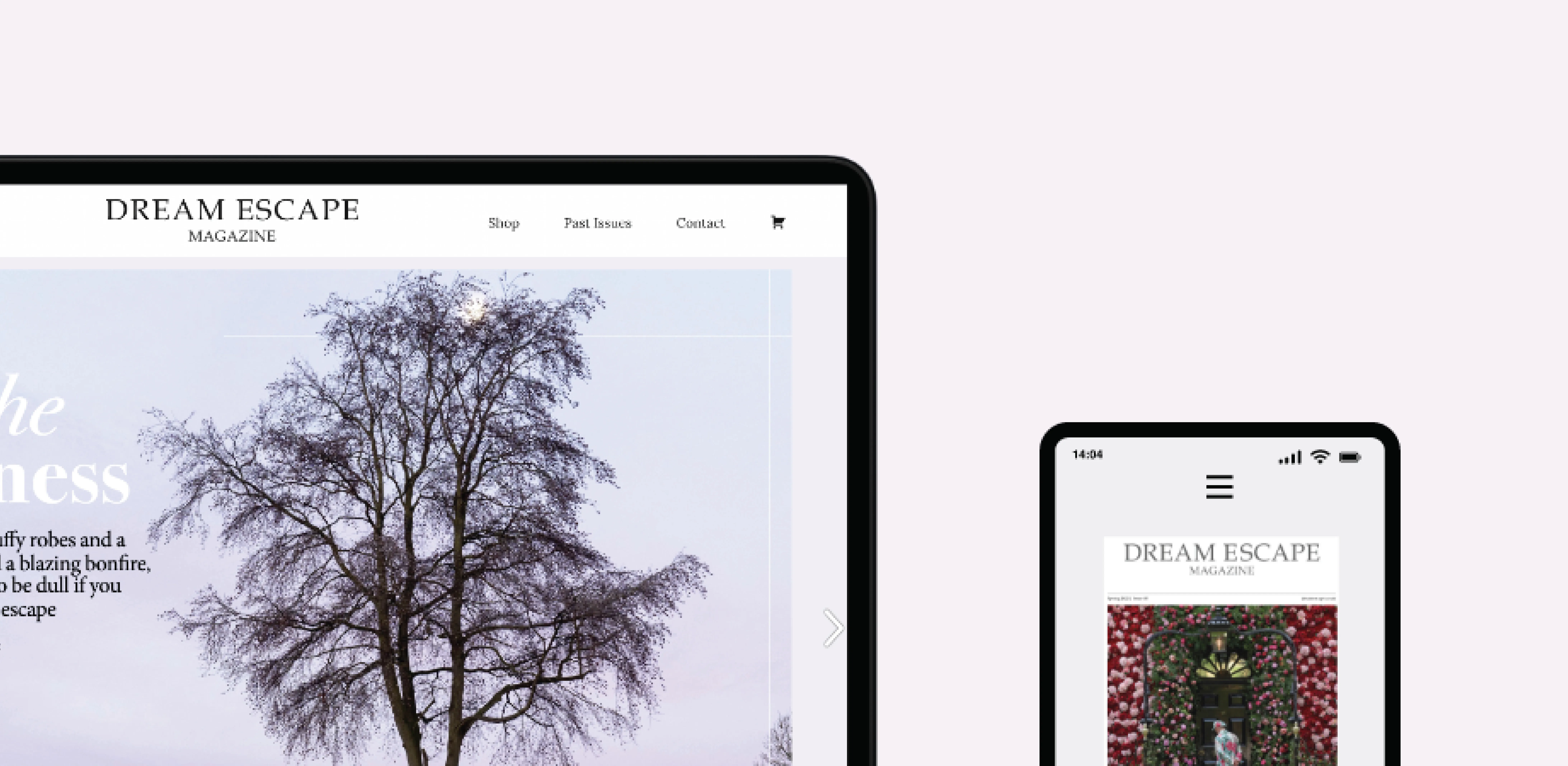 Dream Escape Casestudy Updates Banner 1