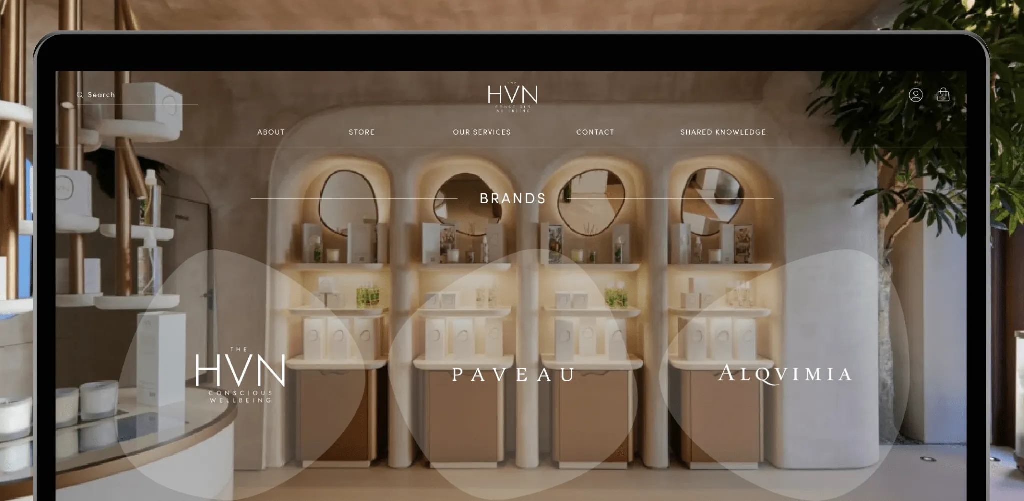 HVN Banner image 3