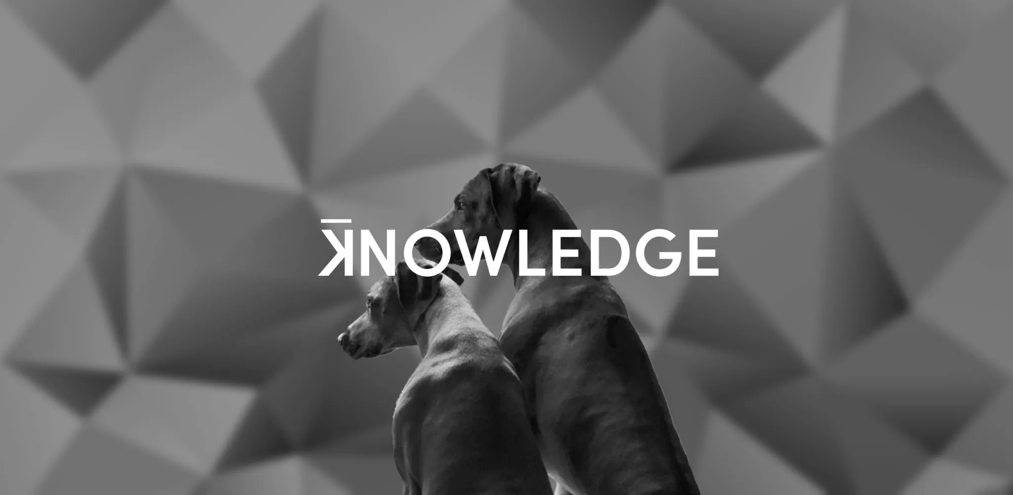 Ridgeback Carousel 2