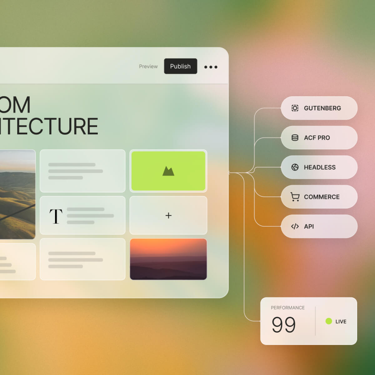 WordPress custom web design development