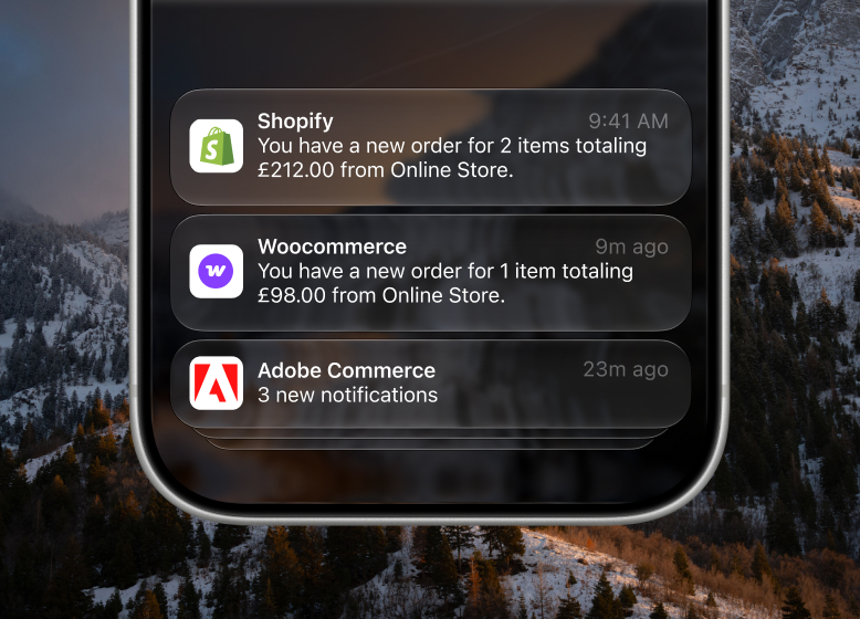eccommerce web agency