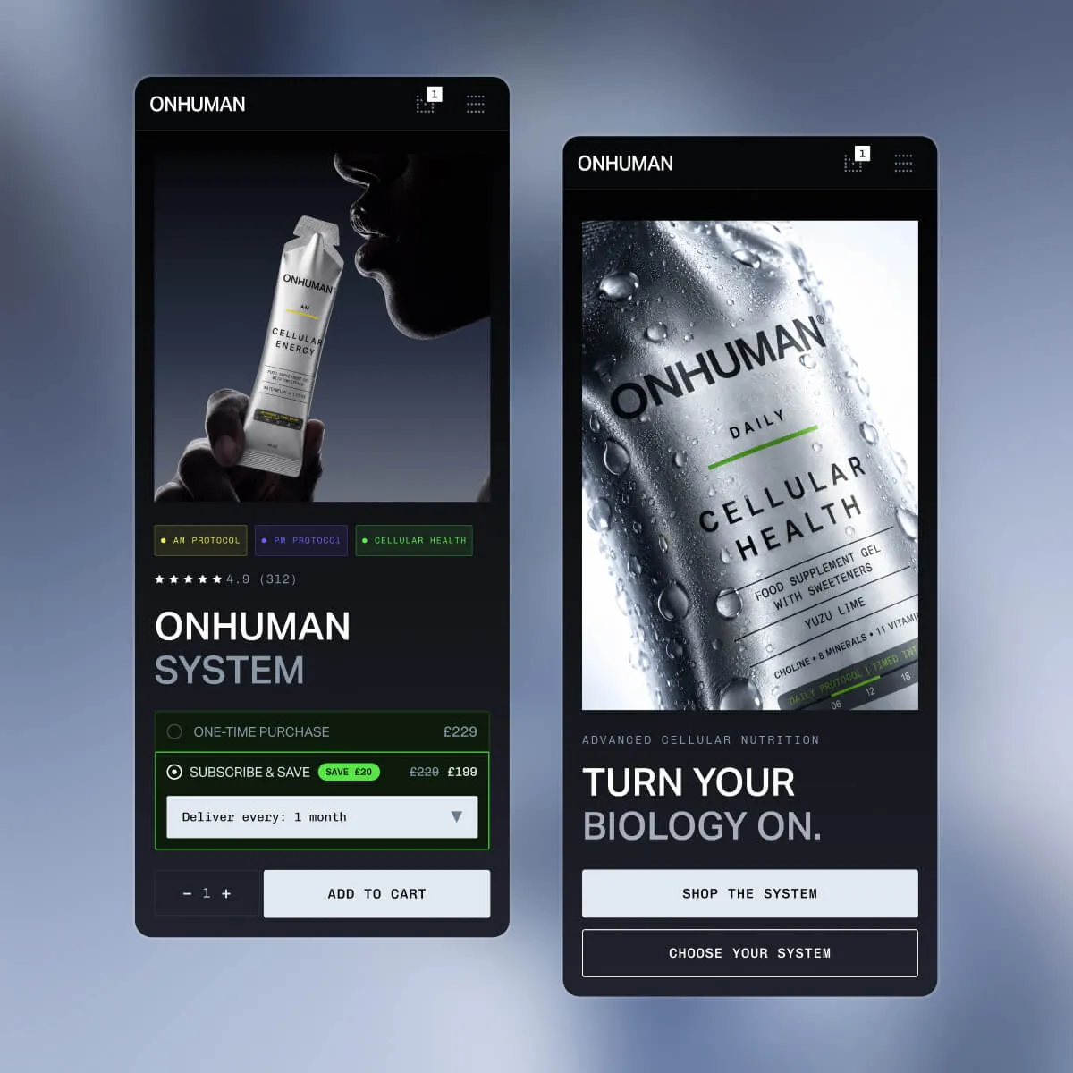 Ecommerce-everything-you-need-to-build-your-ecommerce-store